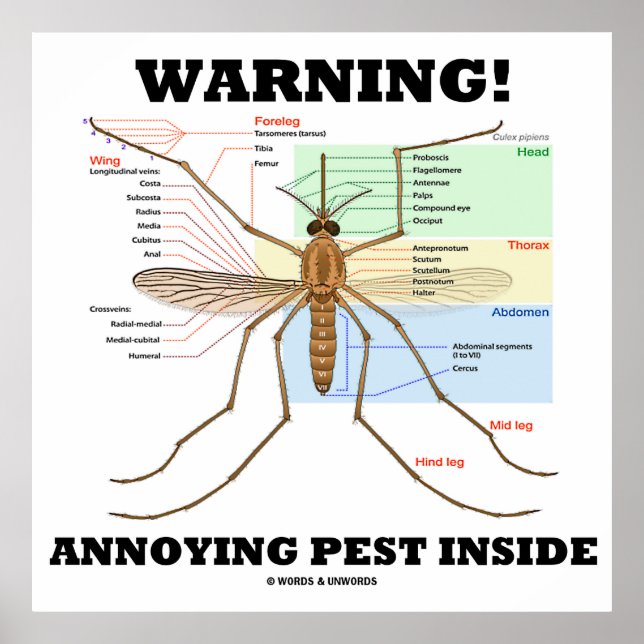 Varning! Annoying Pest Inside (Mosquito Anatomy) Poster (Framsidan)