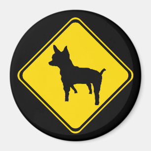Varning - Chihuahua Xing! Magnet