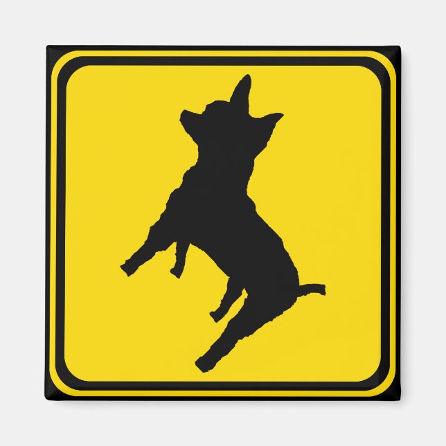 Varning - Chihuahua Xing! Magnet (Framsidan)
