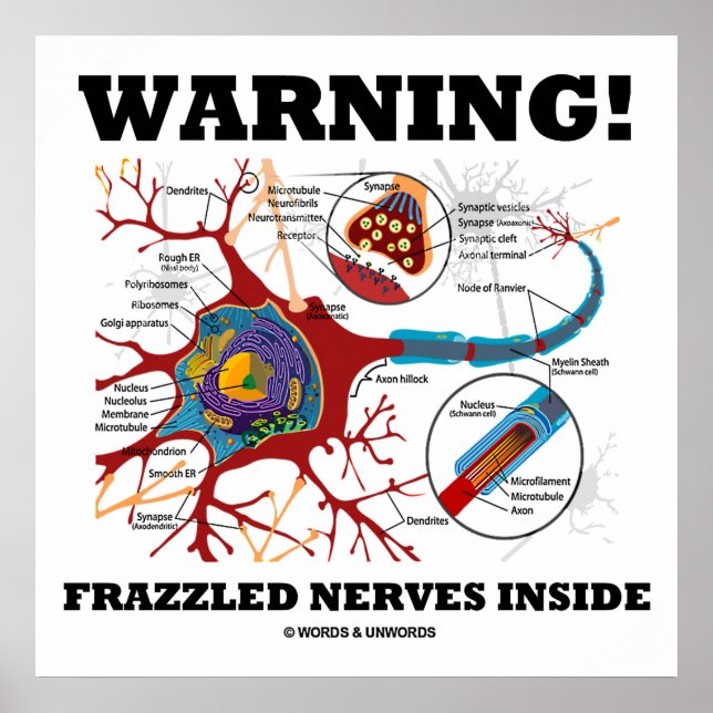 Varning! Frazzled Nerves Inside Neuron Synapse Poster (Framsidan)
