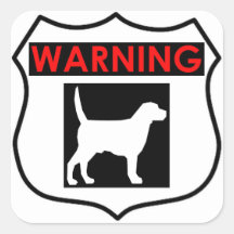 VARNING HUND GLANSIGT Fyrkantigt dekal