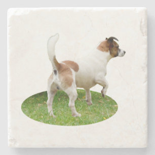 "Varning och Redo: A Brown och White Fox Terrier Stenunderlägg