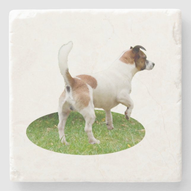 "Varning och Redo: A Brown och White Fox Terrier Stenunderlägg (Framsidan)