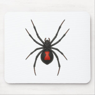 Varning: Svart Widow Spider Musmatta