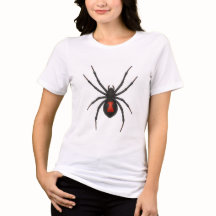 Varning: Svart Widow Spider