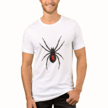Varning: Svart Widow Spider