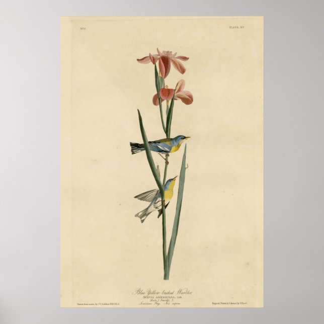 Varningsmaskin med blå Gult Poster (Framsidan)