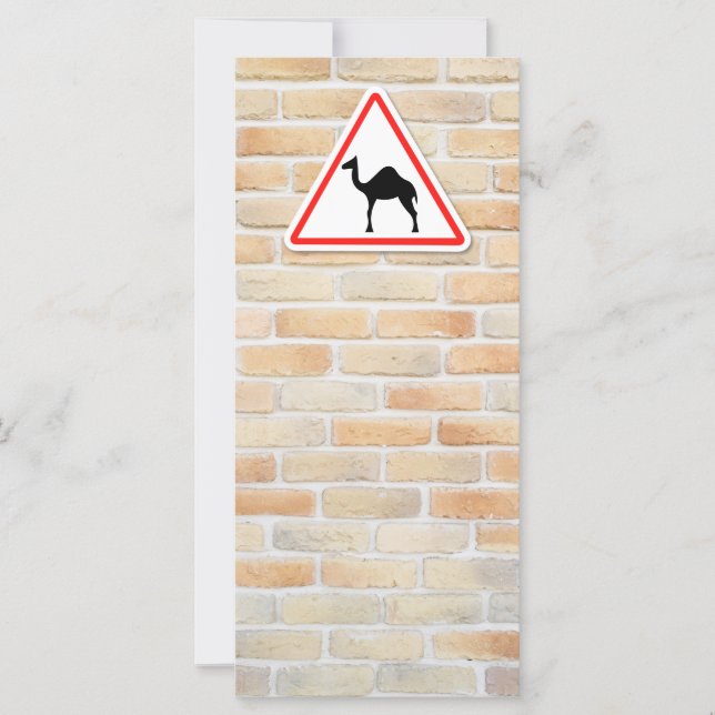 Varningsskylt för kamera (Framsida)