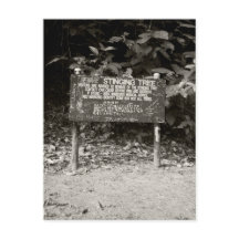 Varningsskylt för träd