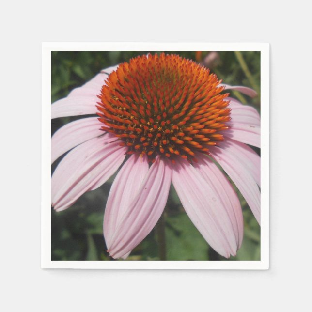 Varotari Pappersservett (Framsidan)