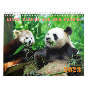 Varous jätte pandas and red pandas endar kalender