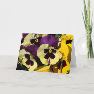 VårPansies Kort