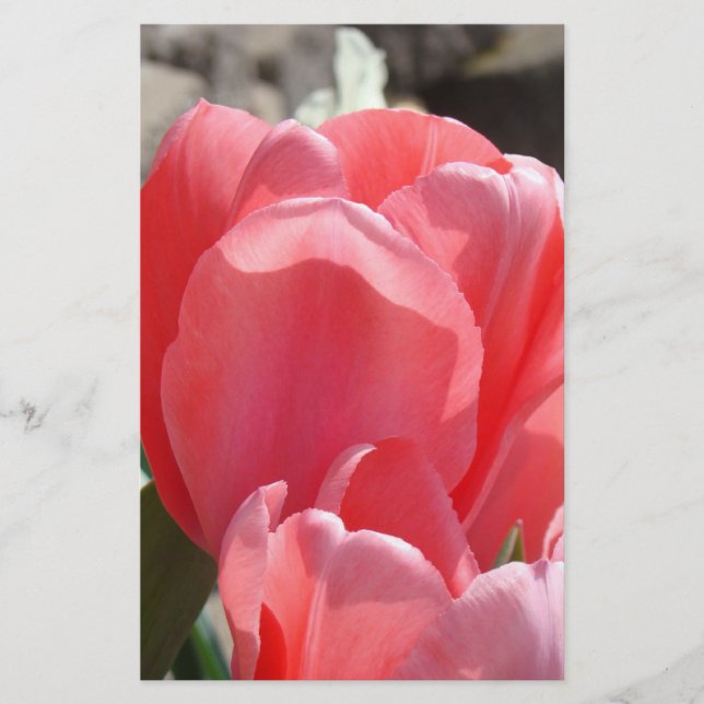 Vårpersonlig pappersvaror Rosa Tulpan Blommor Brevpapper (Framsida)