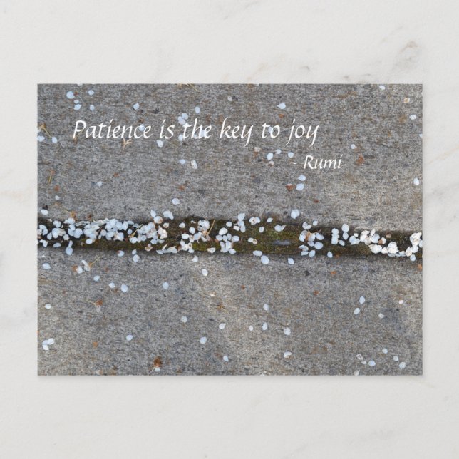 VårPetalsRumi glädje Vykort (Framsida)