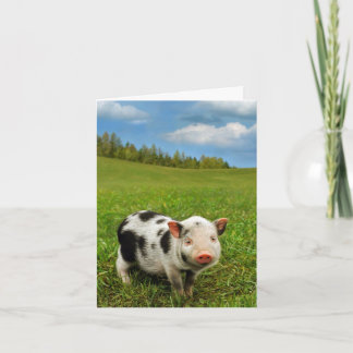 Vårpiglet Kort