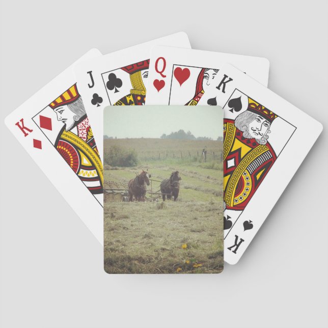 Värptid Kortlek (Baksidan)