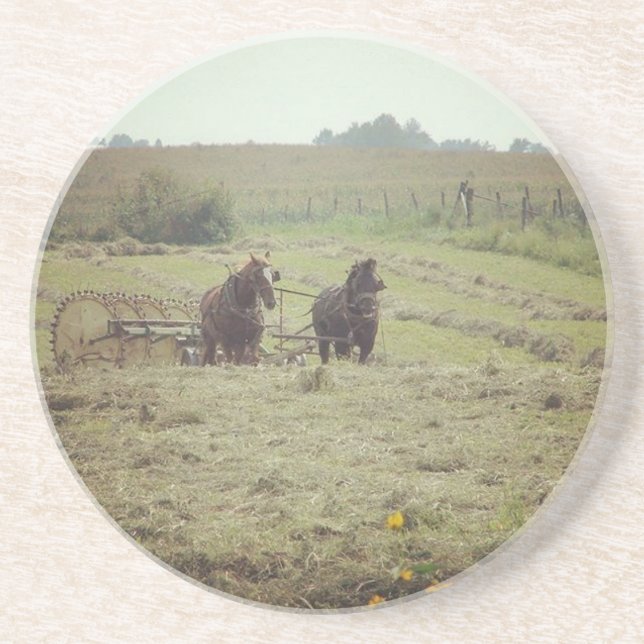 Värptid Underlägg (Framsidan)