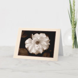 'Vårros (Sepia)' Välkomstkort Kort