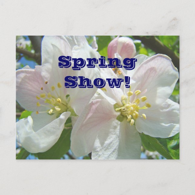 Vårshow! vykort evenemangsmeddelanden Blommor (Framsida)