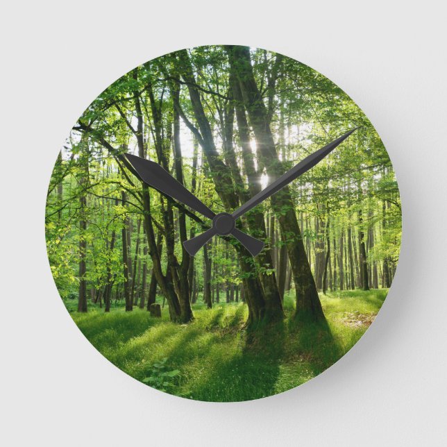 Vårskog Rund Klocka (Framsida)