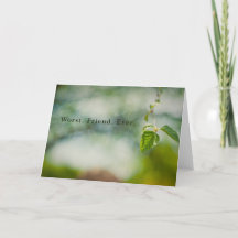 Värst vän någonsin