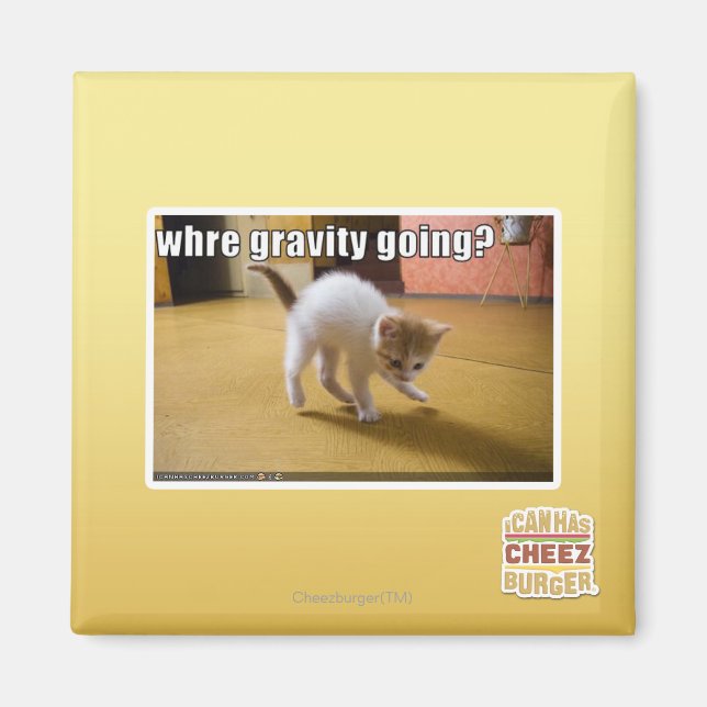 Vart är graviteten på väg? magnet (Framsidan)