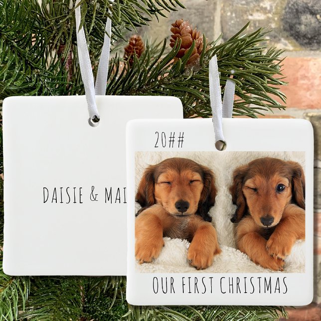 Vårt första landskapsfoto för julhundsvalpen Hunda Julgransprydnad Keramik (Puppy first christmas keepsake ornament with 2 photos and name(s) on the back)