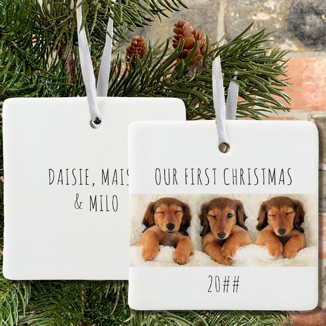 Vårt första panoramafoto från julpuppy Hundar Julgransprydnad Keramik (Puppy first christmas keepsake ornament with 3 photos and name(s) on the back)