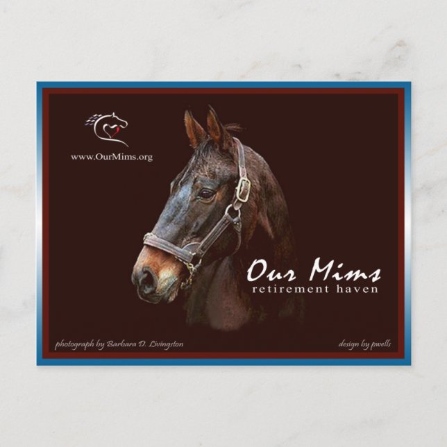 Vårt MIMS-kort för Contribute Vykort (Framsida)