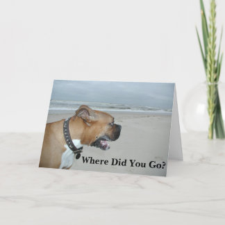 Vart tog du vägen? kort