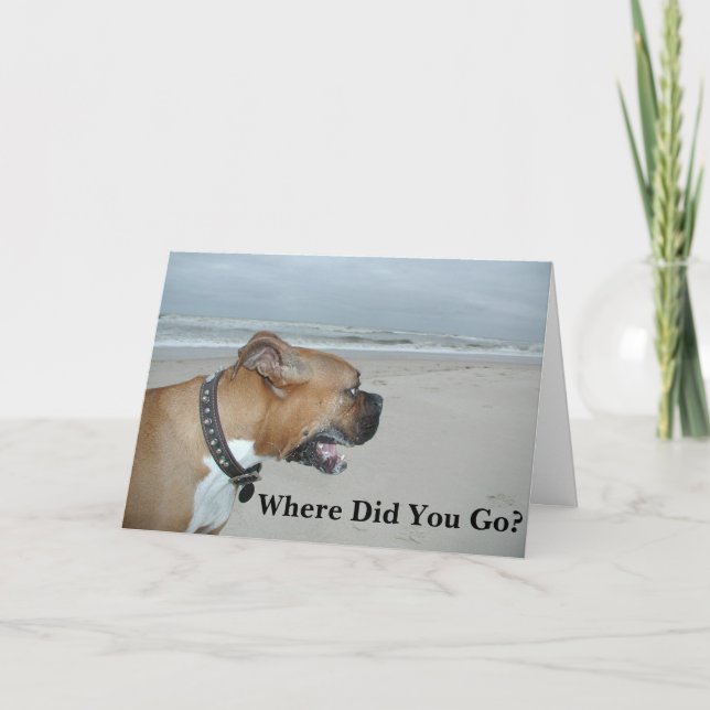 Vart tog du vägen? kort (Framsida)