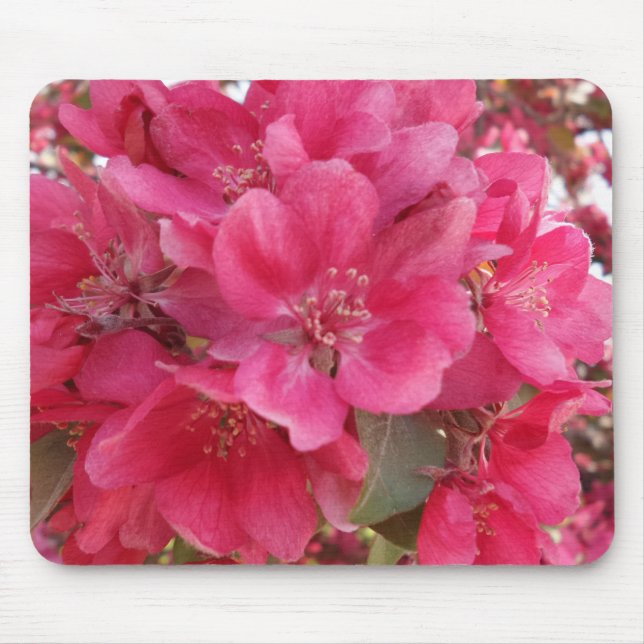 Vårtid Flower Mousepad Musmatta (Framsidan)