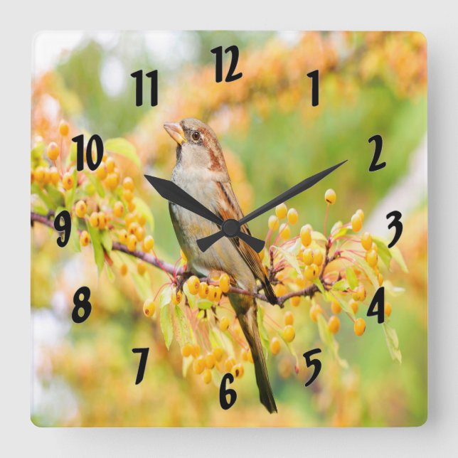 VårTime Sparrow Fyrkantig Klocka (Framsida)