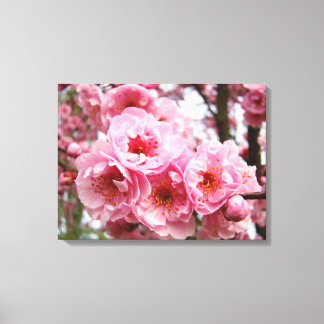 Vårträd Blommande Blommor Canvastryck Blommig