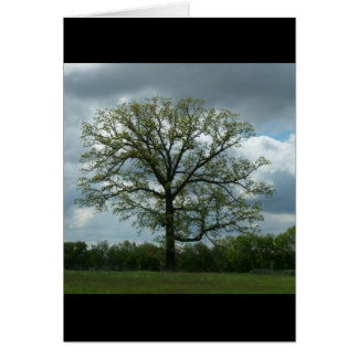 Vårträdkort Hälsningskort