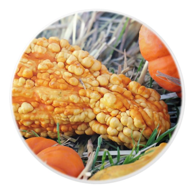 Vårtskrukpumpa Knopp (Framsidan)