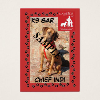 Varukort enligt SAR K9 (släpning) Visitkort