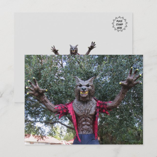 Varulv/Varg Man-vykort Vykort (Fram/baksida)