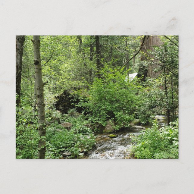 Varupostkort Vykort (Framsida)