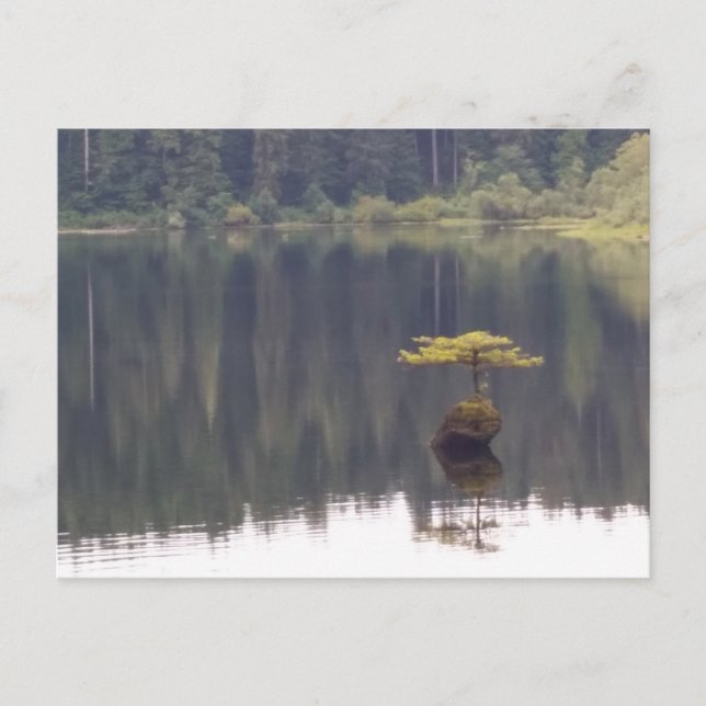 Varupostkort Vykort (Framsida)