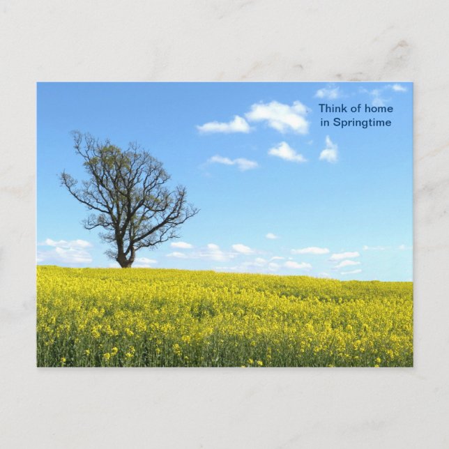 Varupostkort Vykort (Framsida)