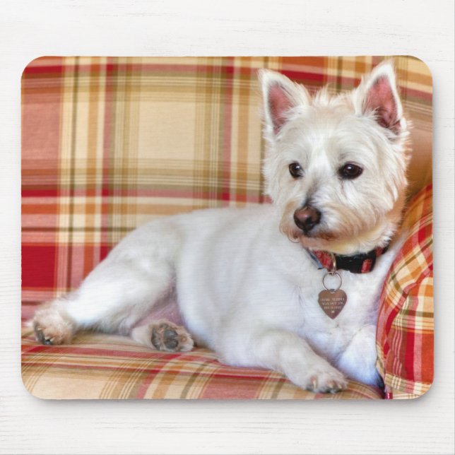 Varv av lyx musmatta (Framsidan)