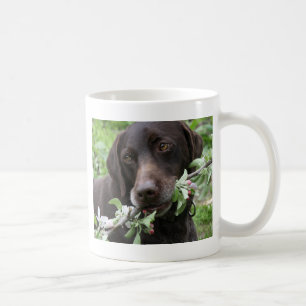 Vårvalpen Kaffemugg
