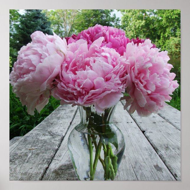 Vas i Rosa Peonies Poster Skriv ut (Framsidan)
