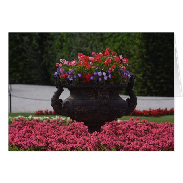 vas med blommor hälsningskort (Framsidan Horizontal)