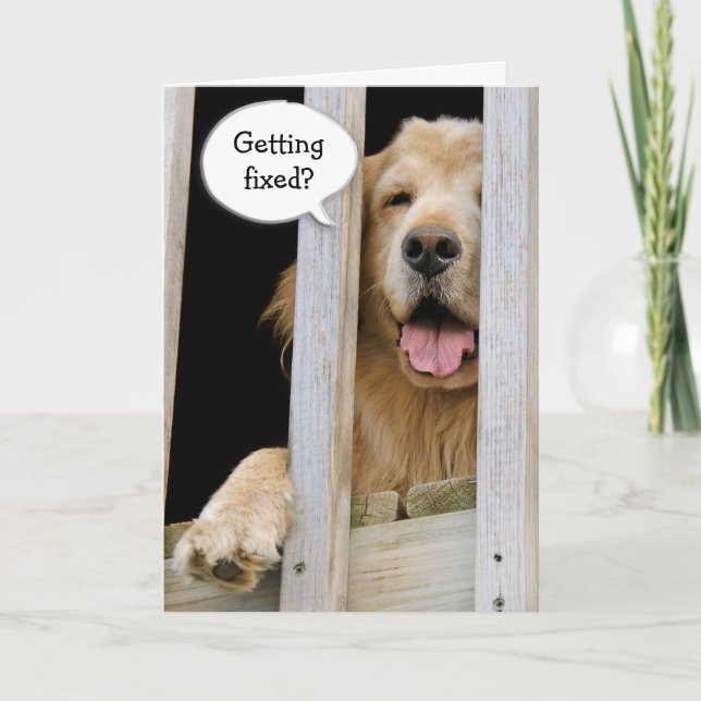 Vasectomi humor kort (Framsida)