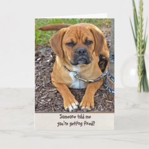 Vasectomy Humor Kort