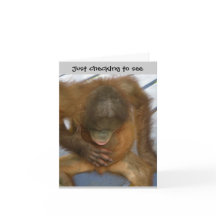 Vasektomikirurgihumor