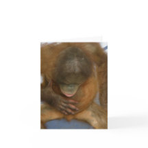 Vasektomikirurgiskämt