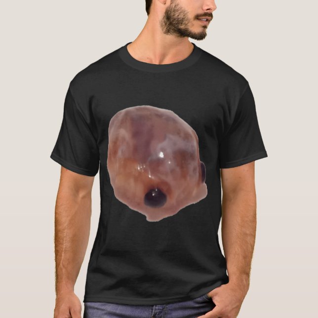 väsendet t shirt (Framsida)